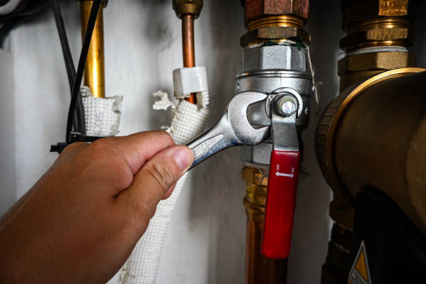 Best Commercial Plumbing Services  in Ferndale, PA